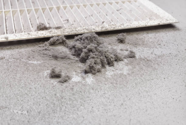 Best Best Air Duct Cleaning Company  in Pandora, OH