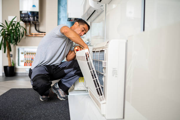 Best Professional Duct Cleaning Services  in Pandora, OH