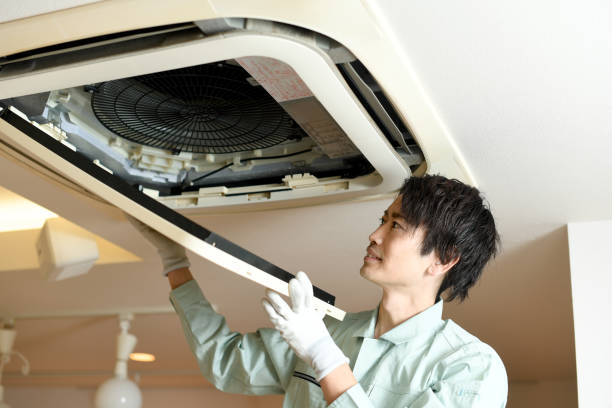 Air Duct Mold Removal in OH