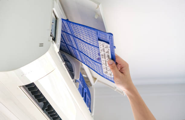 Best Air Duct Mold Removal  in Pandora, OH