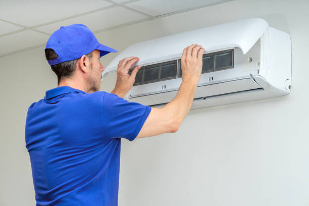 Best Air Duct Mold Removal  in Pandora, OH