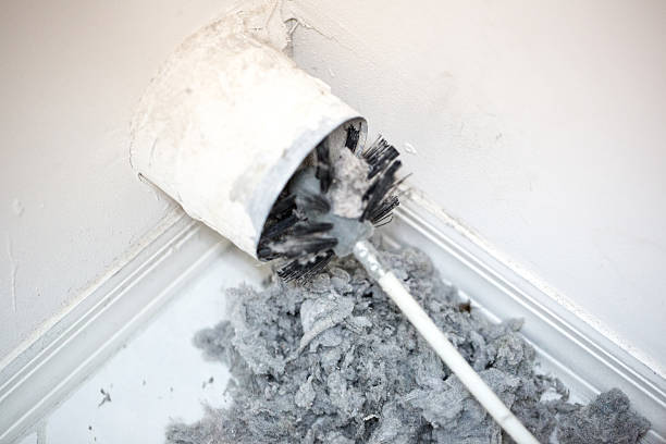Best Professional Duct Cleaning Services  in Pandora, OH